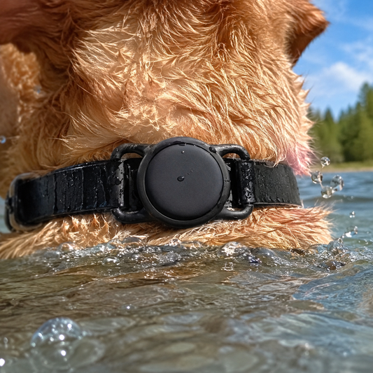 Waterproof Case - IP68