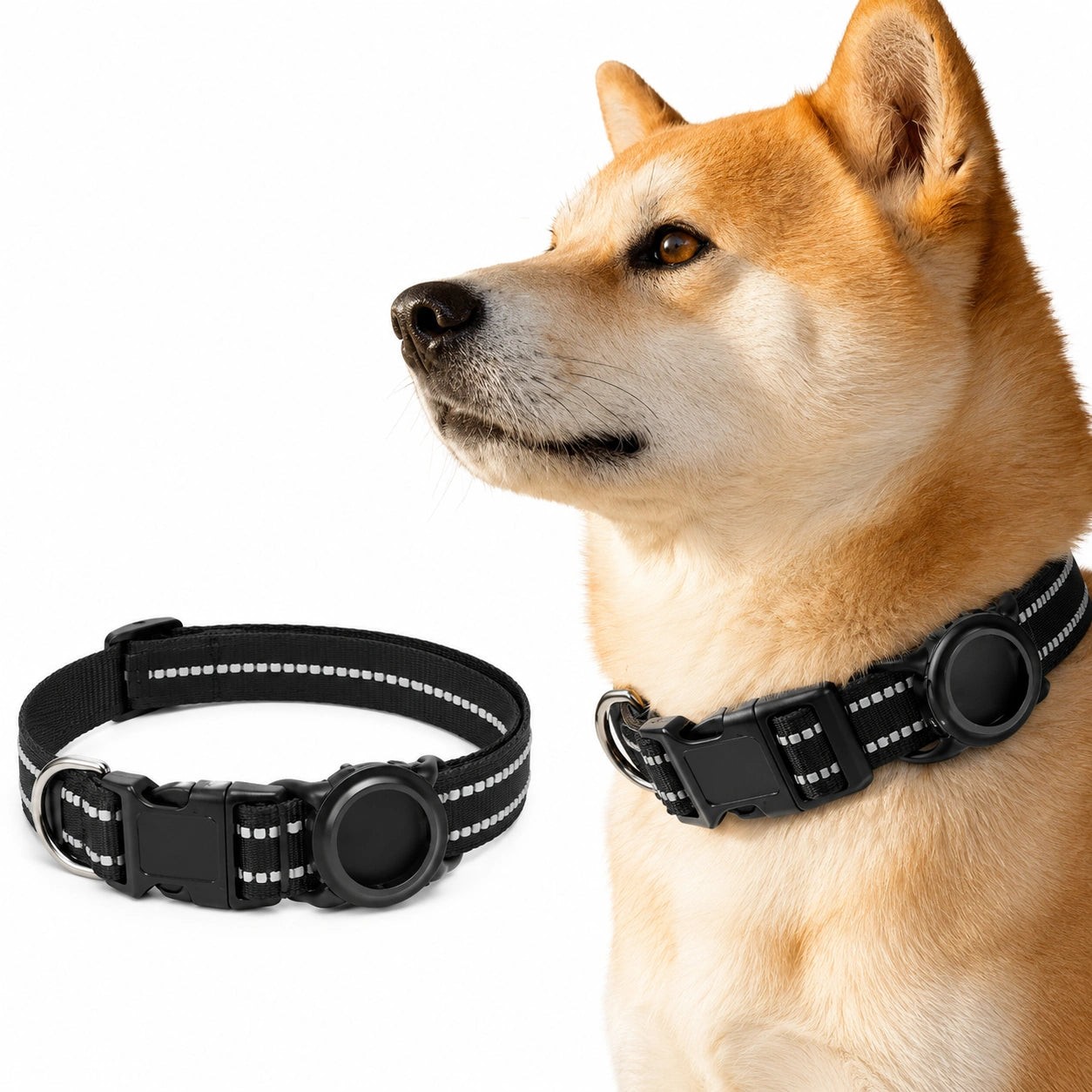 Tracker Holder Collar - Dogs