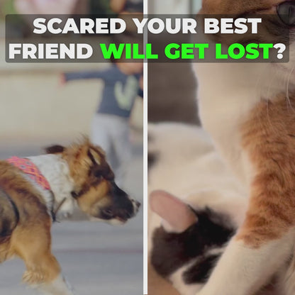 PetTrackPro